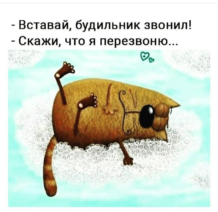 Вставай будильник звонил СКЭЖИ ЧТО Я перезвоню 99