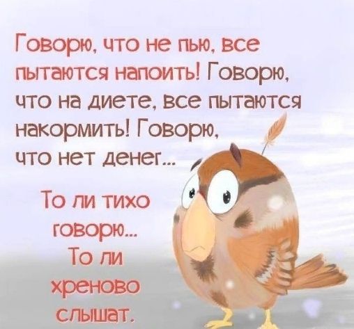 Говорю что не пью все гъггаотся напоить Говорю что на диете все пытаются накормить Говорю что нет денег То ги тихо говорю То ги