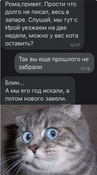 Ромапривет Прости что долго не писал весь в запаре Слушай мы тут с Ирой уезжаем на две недели можно у вас кота оставить так Вы еще ПРОШЛОГО не забрали 1215 Блин А мы его год искали а потом нового завели