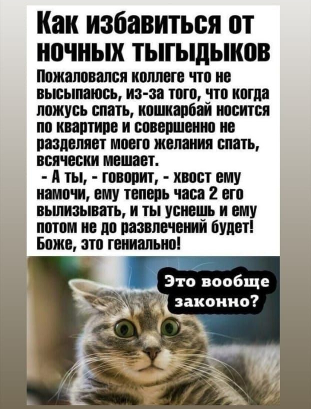 Как избавиться от ночных тыгыдынов Пожаловался коллеге что не высьглаюсь из за того это когда ложусь спать кошнароаи носится по квартире и совершенно не разделяет моего желания слать всячески мешает и ты говорит хвост ему намочи ему теперь часа 2 его вьшнзывать и ты уенещь и ему потом не до развлечении будет Боже это гениально Это вообще