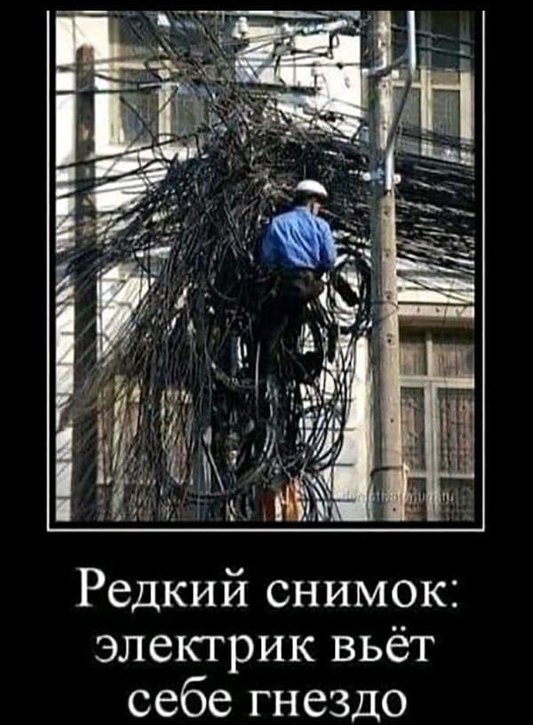 й снимок Редки электрик вьёт себе гнездо