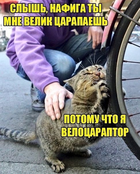 ппышындфигп гы шт пин цдгдпдъшь