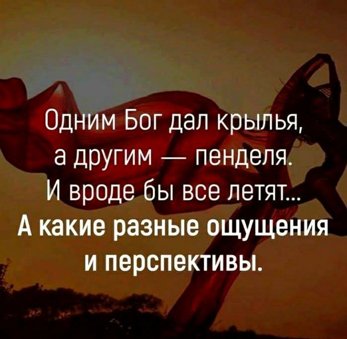 Одним Бог дал крылья а другим пенделя И вроде бы все летят А какие разные ощущения и перспективы