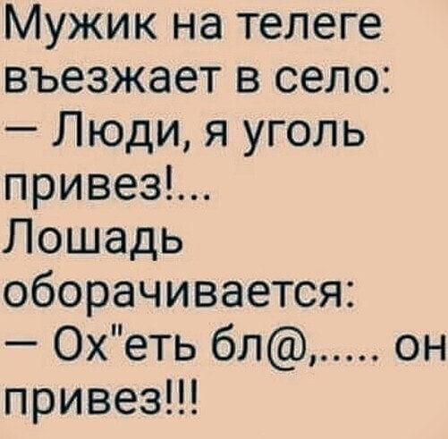 Мужик на телеге въезжает в село Люди я уголь привез Лошадь оборачивается Охеть бл он привез