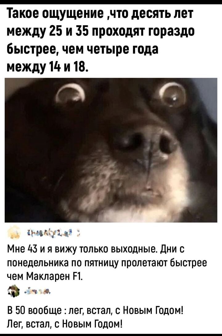 Такое ощущение что десять лет между 25 и 35 проходят гораздо быстрее чем четыре года между 11 и 18 ны Мне 43 и я вижу только выходные дни с понедельника по пятницу пролетают быстрее чем Макларен Н Э о В 51 вообше лег встал с Новым Годом Пег встал с Новым Годом
