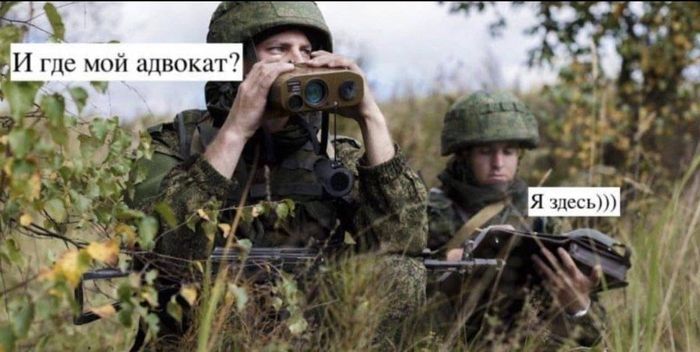 д