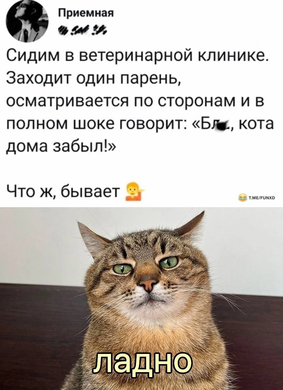 А Когда отец орёт на тебя потому что ты безответственный пока везёт тебя в  школу а ты ждёшь что бы сказать ему что забыл рюкзак дома - выпуск №2045384