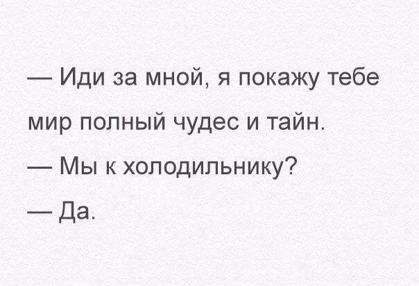 Иди за мной я покажу тебе мир полный чудес и тайн Мы к холодильнику Да