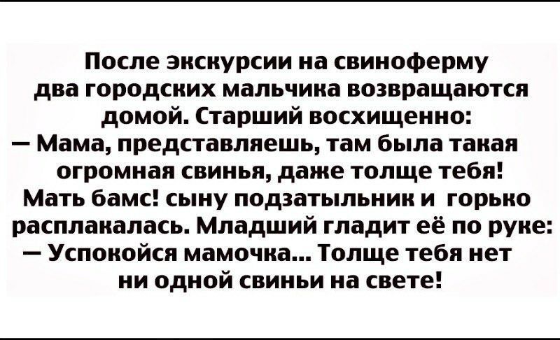 После экскурсии на свикоферму два городских мальчика надвращаютсп домой Старший восхищенно Мама представляешь там была такая огромная свинья даже толще тебя Мать бамс сыиу лодаатылькик и горько расплакалась Младший гладит её по руке Успокойся мамочка Толще тебя кет ки одкой свиньи на свете