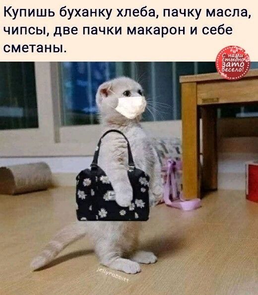 Купишь буханку хлеба пачку масла чипсы две пачки макарон и себе сметаны