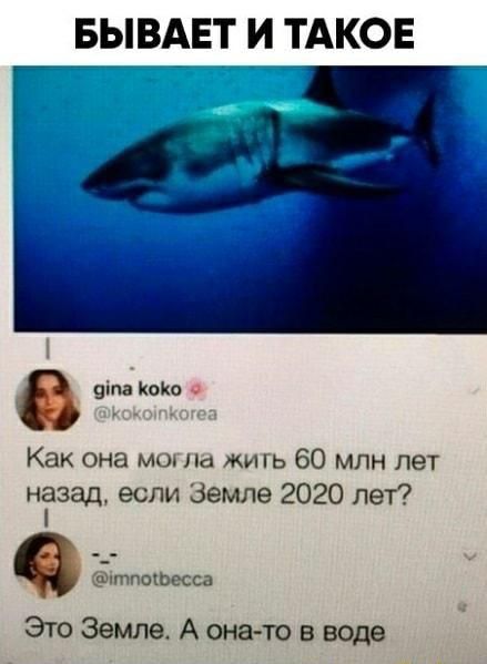 БЫВАЕТ И ТАКОЕ Г ціна кока _ Как она мог Па жигь 60 млн лет назад если Земле 2020 пет ёітпошесса ЭтоЗемлеАона товводе