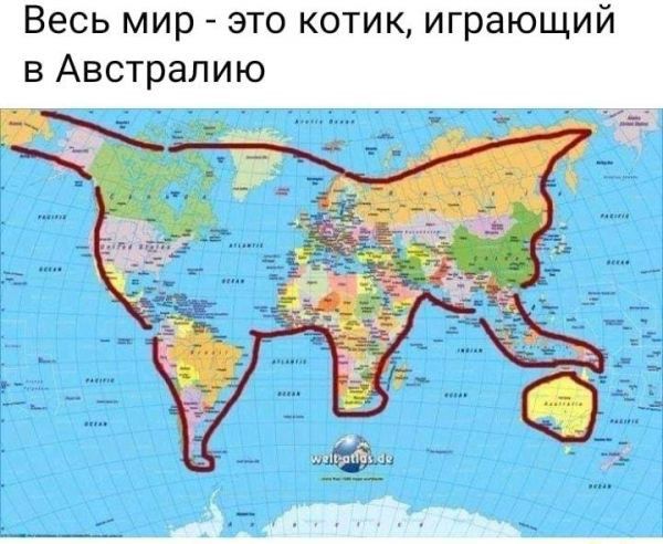 Весь мир это котик играющий в Австралию