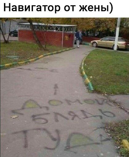 Навигатор от жены