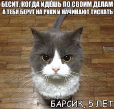 БЮИ МГ идіиь 08 д ТЕМ БЕГ и И ШЩТ ТИЁИПЪ