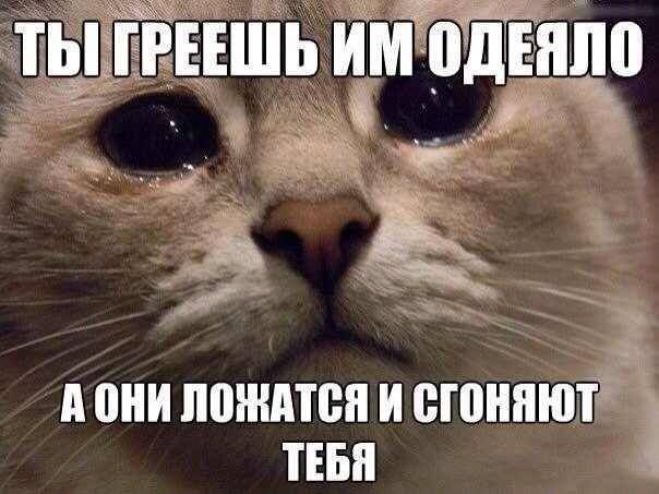 А они пшндтен и сюннюті пвп