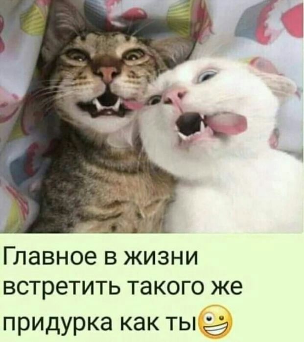 Главное в жизни встретить такого же придурка как ты