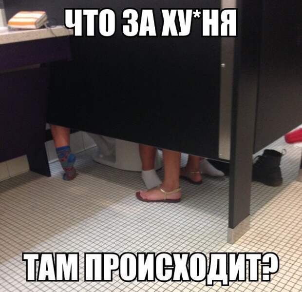 ггчто зп ннй ПШ пюитюдит _