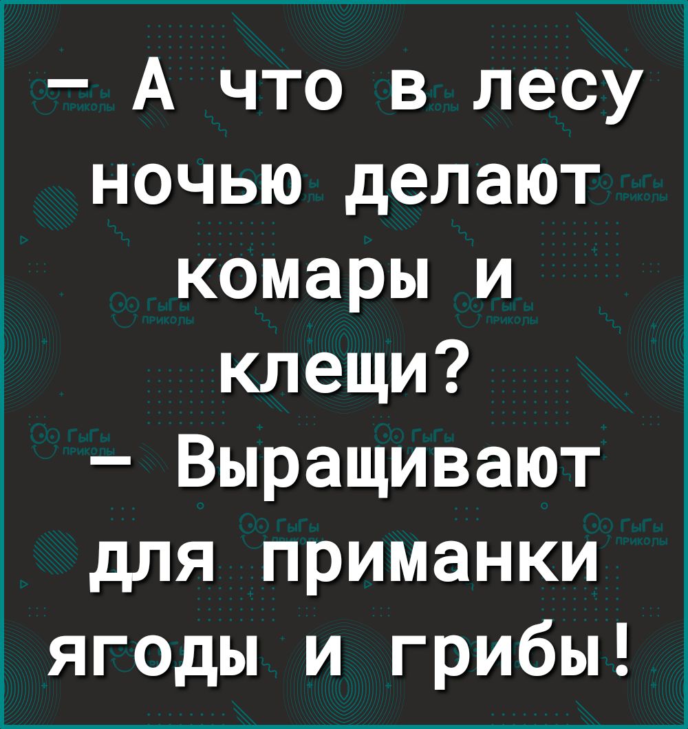 А что в лесу ночью делают комары и клещи Выращивают для приманки ягоды и грибы