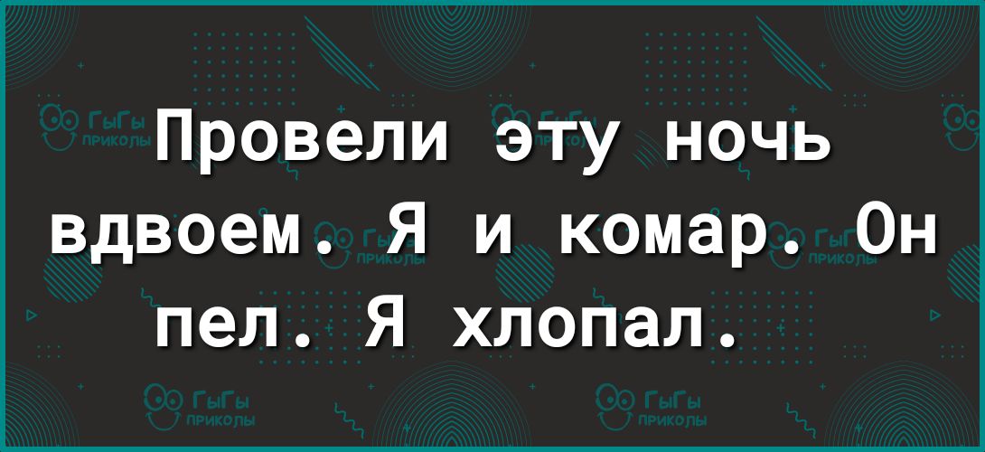 Провели эту ночь вдвоем Я и комар Он пел Я хлопал