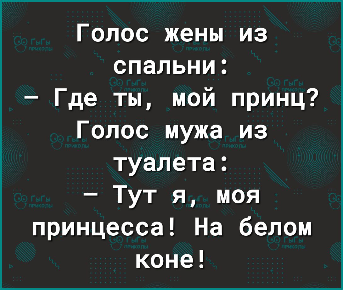 Голос жены из спальни Где ты мой принц Голос мужа из туалета Тут я моя принцесса На белом коне