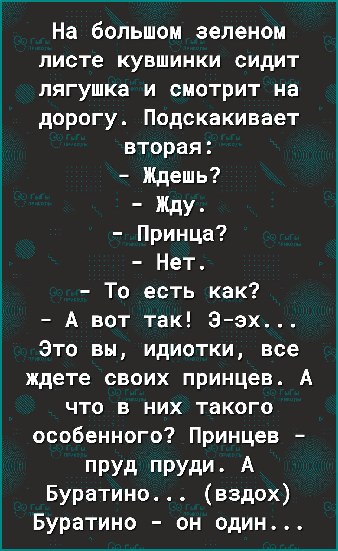 На большом зеленом листе кувшинки сидит лягушка и смотрит на дорогу Подскакивает вторая Ждешь ЖдУ Принца Нет То есть как А вот так Э эх Это вы идиотки все ждете своих принцев А что в них такого особенного Принцев пруд пруди А Буратино вздох Буратино он один