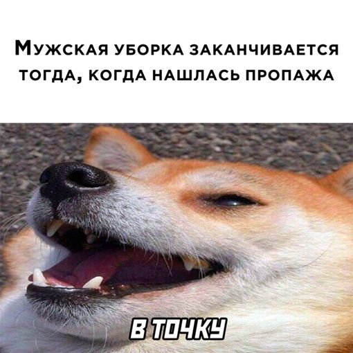 МУЖСКАЯ УБОРКА ЗАКАНЧИБАЕТСЯ ТОГДА КОГДА НАШЛАСЬ ПРОПАЖА