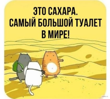 _зтв мкм сдмыи БОЛЬШОЙ тудлвт _вмиРЕ _ _
