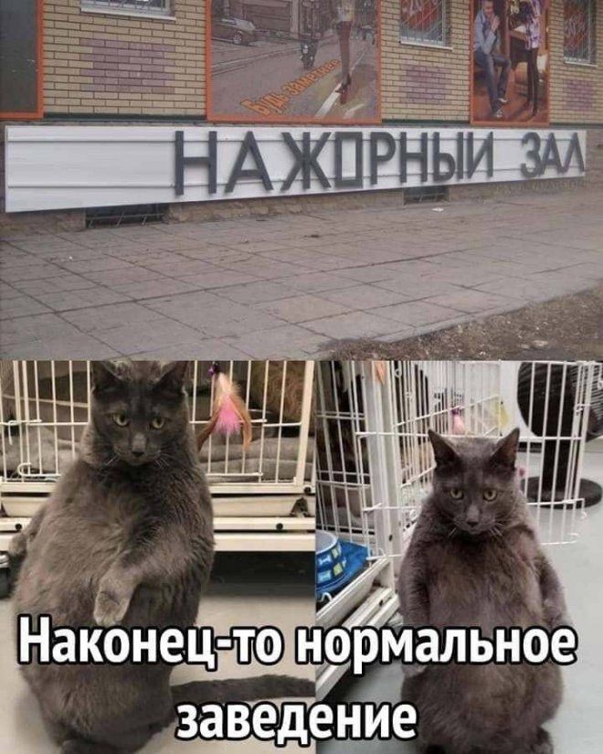 Рр аМ ажа й