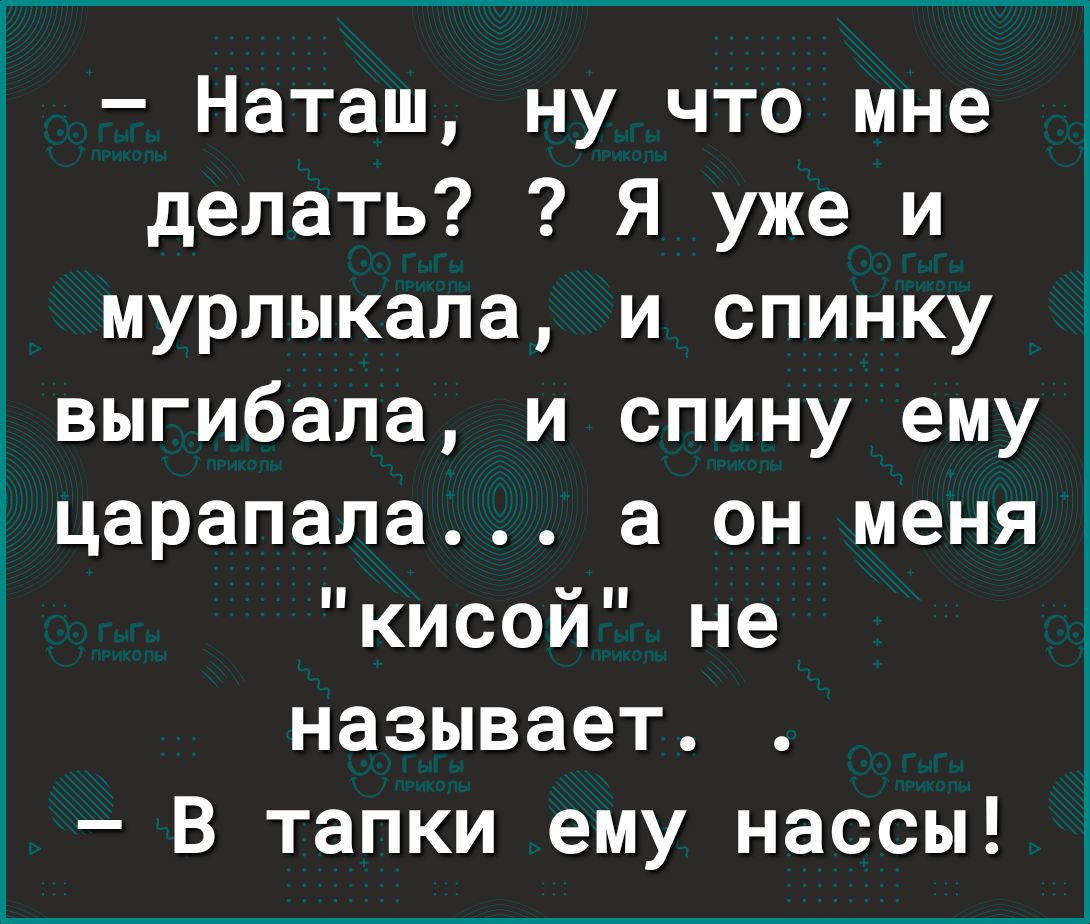 Наташ ну что мне делать Я уже и мурлыкала и спинку выгибала и спину ему царапала а он меня кисой не называет В тапки ему нассы