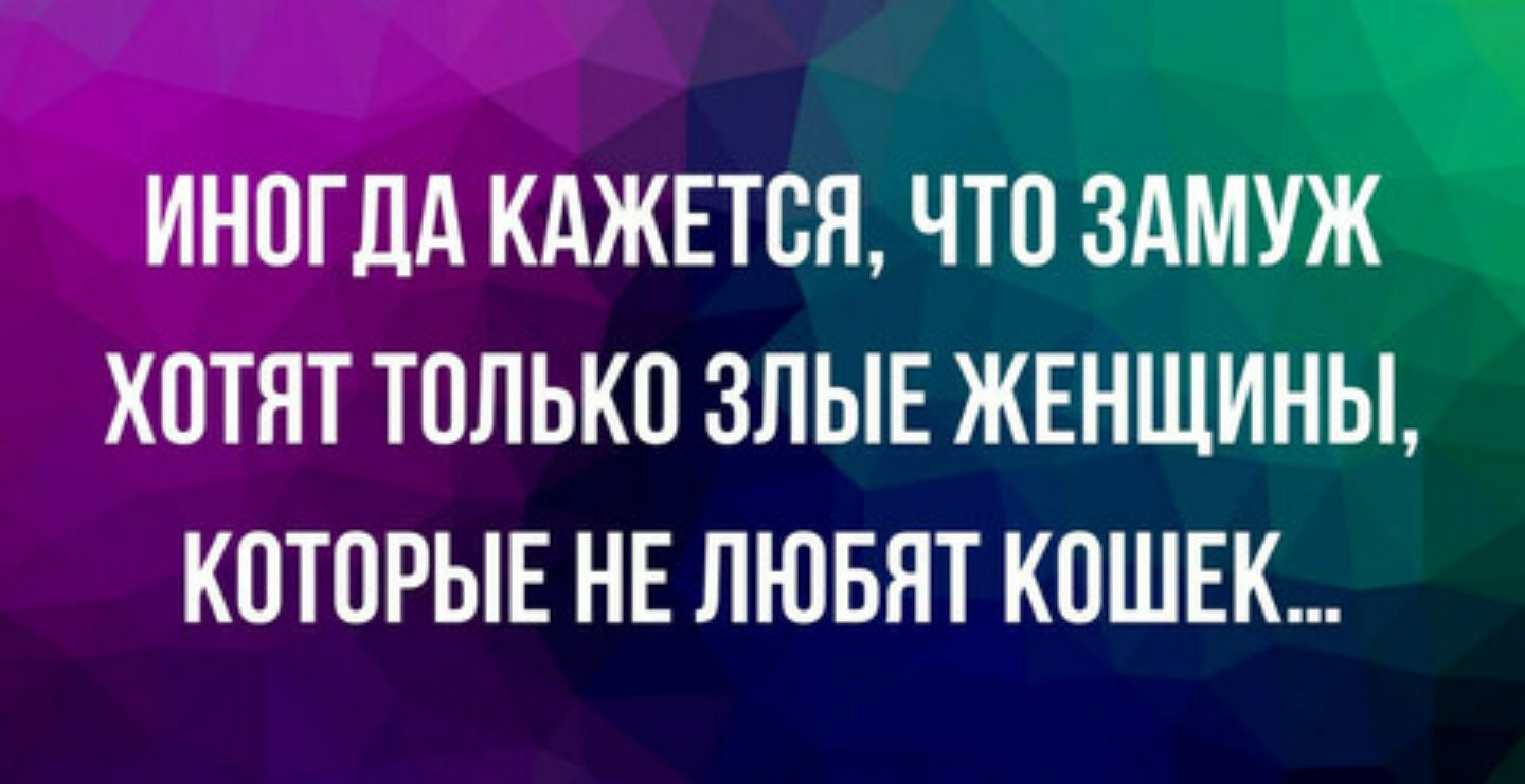 ТТНОТДА КАЖЕТСЯ ЧТП ЗАМУЖ ХОТЯТ ТППЬКО ЗЛЫЕ ЖЕНЩИНЫ КОТПРЫЕ НЕ ЛЮБЯТ КОШЕК