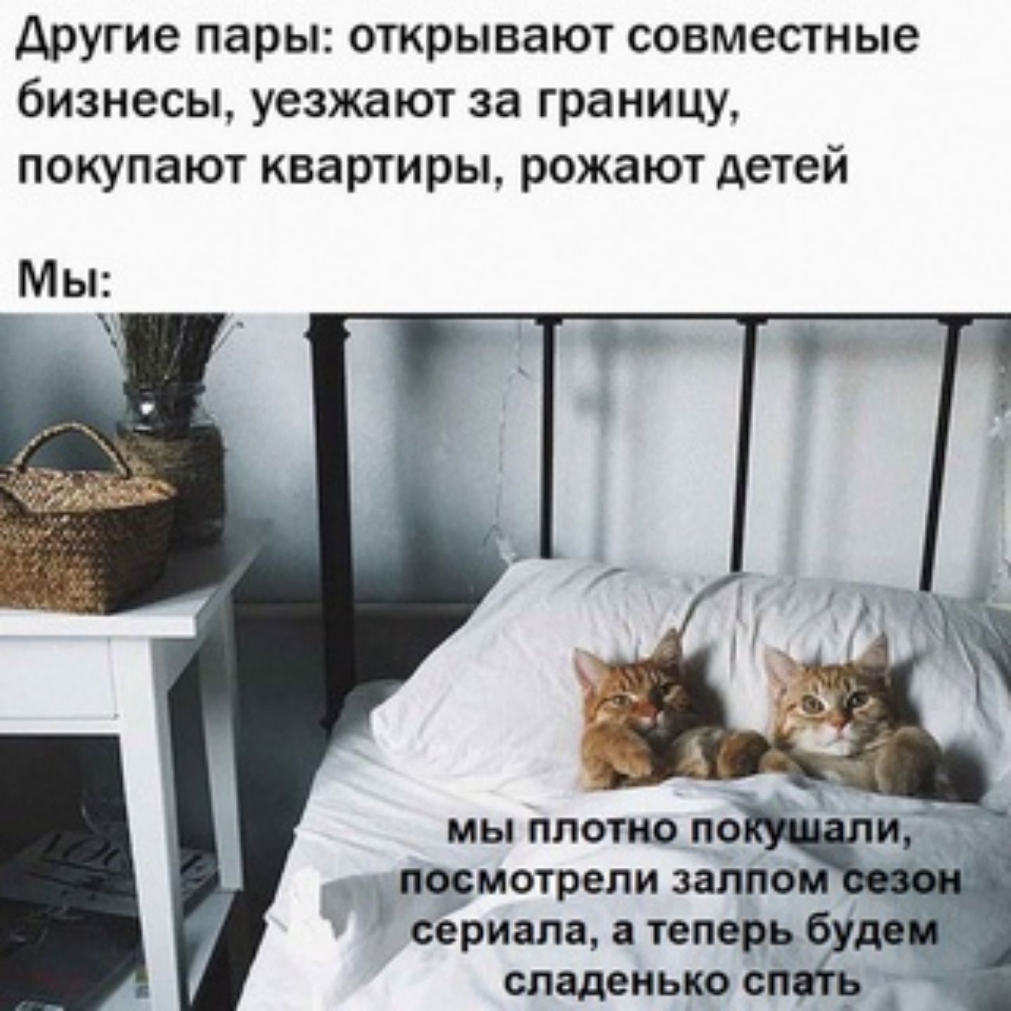 Другие пары открывают совместные бизнесы уезжают за границу покупают квартиры рожают детей мы плотно по щмотрепи заппо сериала теперь бу маленька спгр