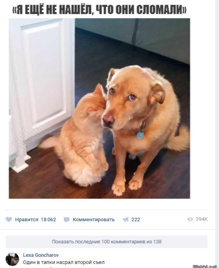 «Я ещё не нашёл, что они сломали»