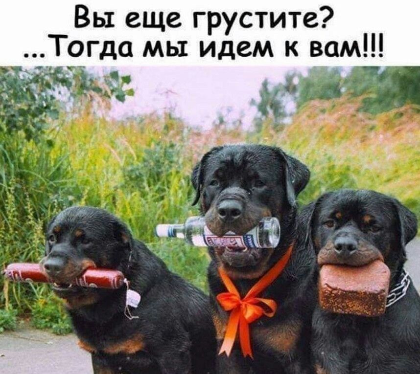 Вы еще грустите _То да мы идем к вам А _ _ А