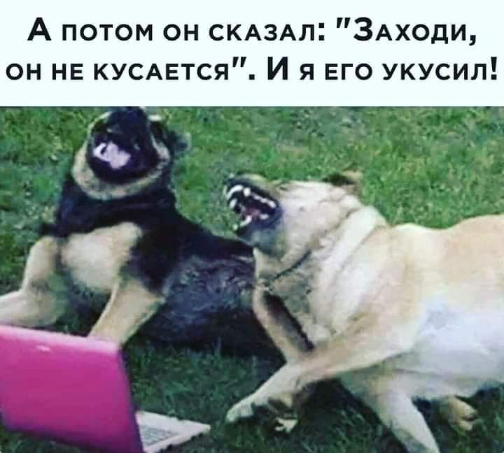 А потом он СКАЗАл ЗАходи он НЕ КУСАЕТСЯ И я его укусил