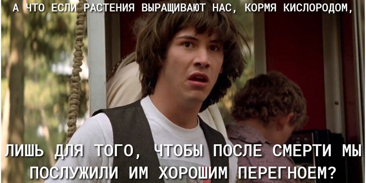 ЕНИЯ вырдщивдют ндс кормя кислородом Ы п ЛЕ СМЕРТИ мы м ПЕРЕГНОЁМ