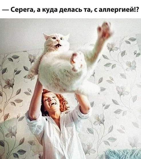 Серега а куда делась та аллергией