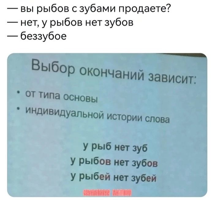 вы рыбов с зубами продаете нет у рыбов нет зубов беззубое