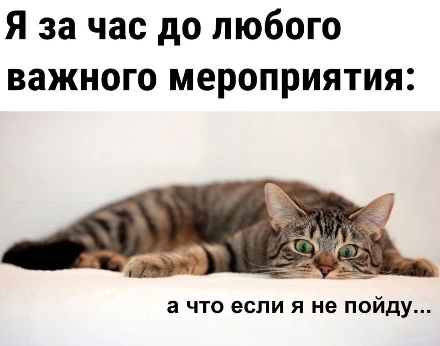 Я за час до любого важного мероприятия а ЧТО если Я не пойду