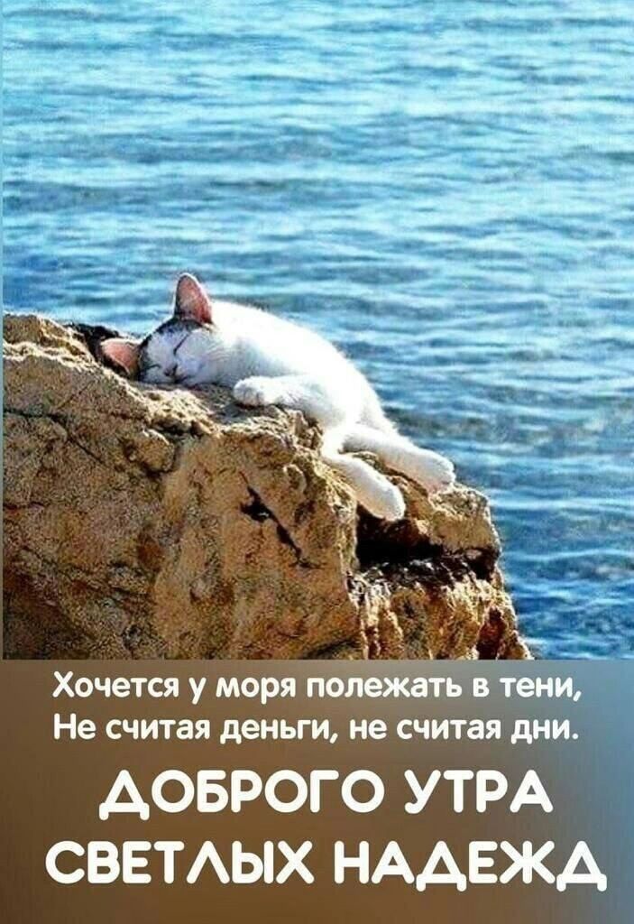 Хочется у моря темп Не считая деньги не считая дии АОБРОГО УТРА СВЕТЫХ НААЕЖА