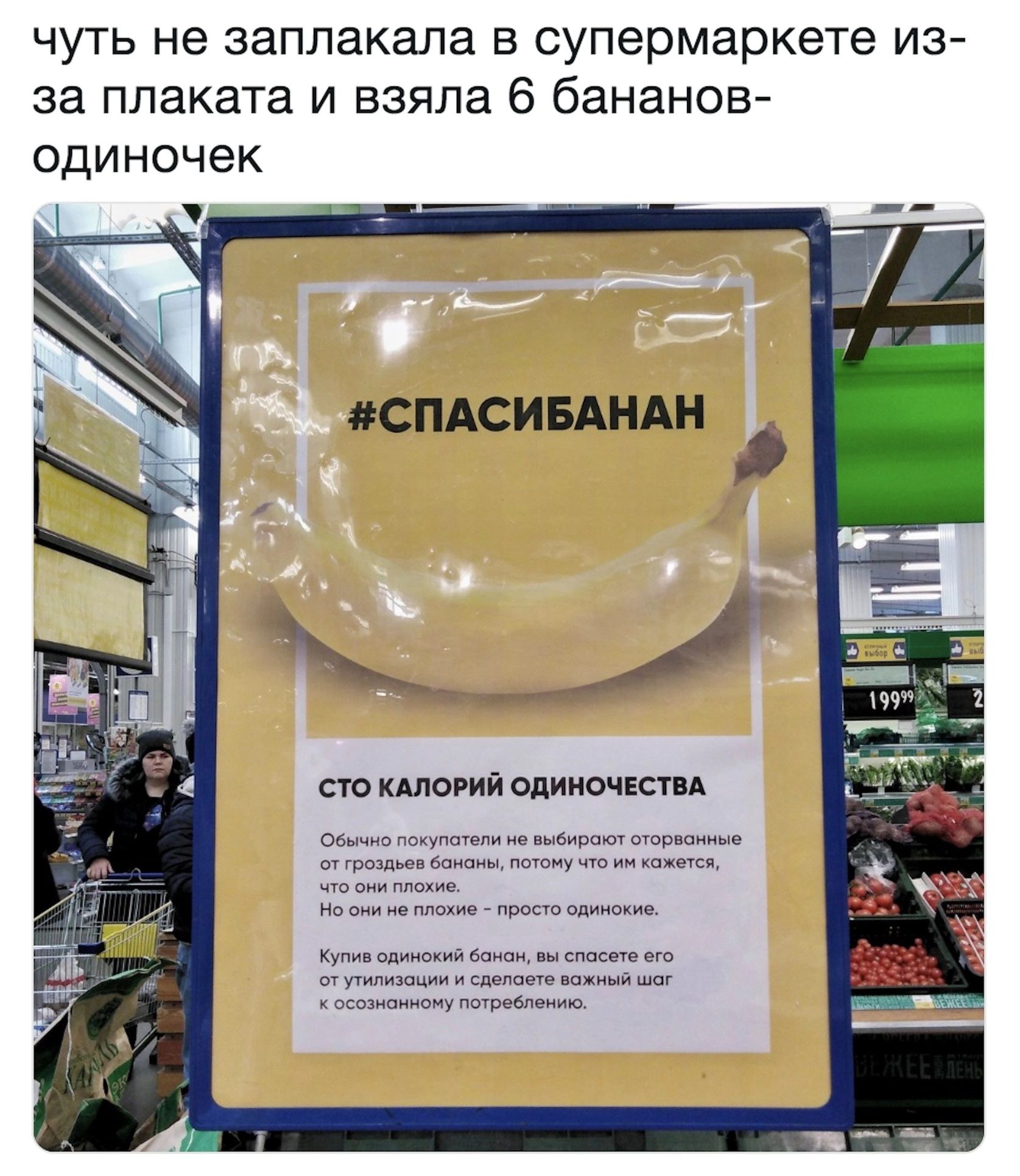ЧУТЬ НЕ заплакала В СУПЕРМЗРКЕТЕ ИЗ за плаката И ВЗЯЛЗ 6 бЗНЗНОВ ОДИНОЧЕК сю кшогий одиночным