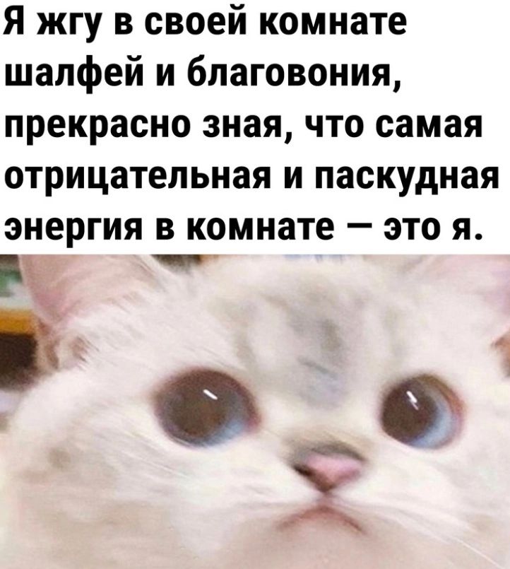 Я жгу в своей комнате шалфей и благовония прекрасно зная что самая отрицательная и паскудная ЭНЕРГИЯ В комнате _ ЭТО Я МН сад 2