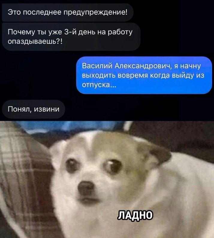 это последнее предупреждение Почему ты уже 3 й день на работу ппаэдынаешь Вмилий Александрович начну ЦЫХОЛИТЬ вовремя КОГПБ выйду ИЗ отпуска Понял извини