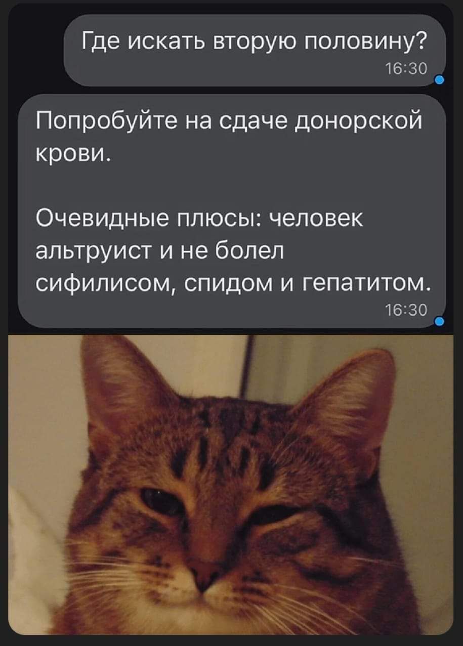 Где искать вторую половину 1630 Попробуйте на сдаче донорской крови Очевидные плюсы человек альтруист и не болел СИФИПИСОМ СПИДОМ И ГЕПЭТИТОМ 1630