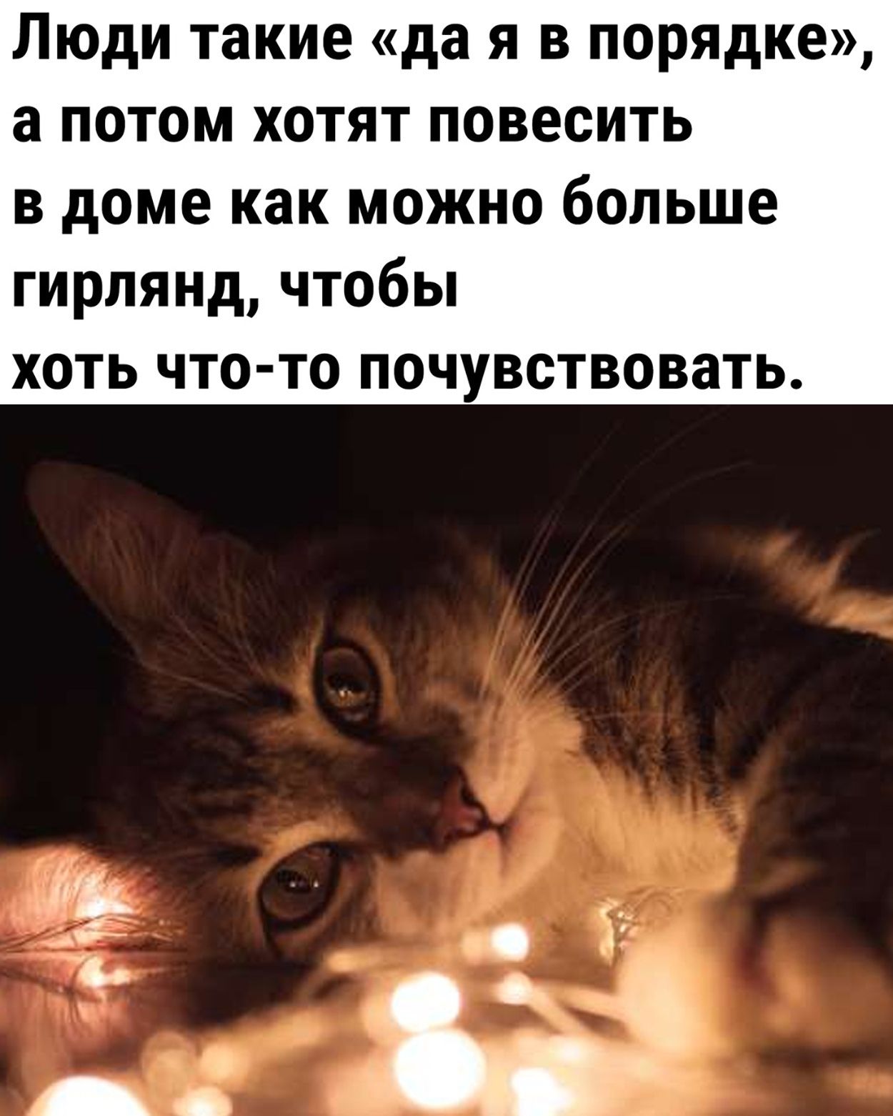 Люди такие да я в порядке а потом хотят повесить в доме как можно больше гирлянд чтобы хоть что то почувствовать