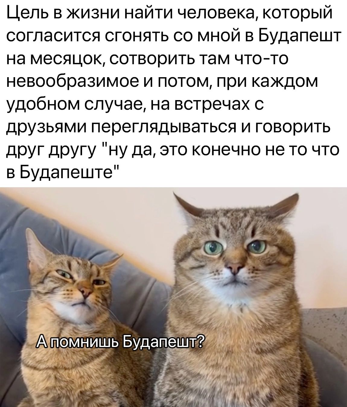 Цель в жизни найти человекакоторый согласится сгонять со мной в Будапешт на месяцок сотворить там чт0то невообразимое и потом при каждом удобном случае на встречах с друзьями переглядываться и говорить друг другу ну да это конечно не то что в Будапеште