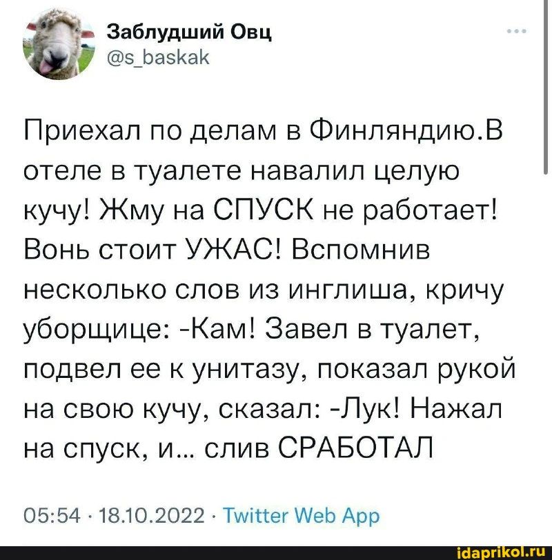 Заблудший Овц _ЬаЪаИ Приехал по делам в Финляндиюв отеле в туалете навалил цепую кучу Жму на СПУСК не работает Вонь стоит УЖАС Вспомнив НЕСКОЛЬКО СЛОВ ИЗ ИНГПИШЭ КрИЧу уборщице Кам1 Завел в туалет подвел ее к унитазу показал рукой на свою кучу сказал Лук Нажал на спуск и слив СРАБОТАЛ 0554 1810 2022 Пуще МЕЬ Арр _