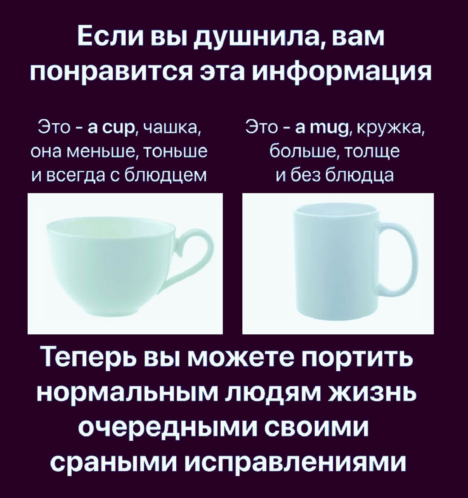 Если вы душнила вам понравится эта информация Это а сир чашка Это а тид кружка она меньше тоньше больше толще ивсегда с блюдцем ибез блюдца Теперь вы можете портить нормальным людям жизнь очередными своими сраными исправлениями