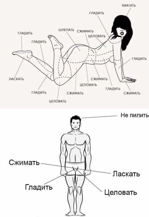 ХВАТАТЬ глАДИТЬ ШЛЕПАТЬсжимАТЬ глАдитЬ о ЧЕЛОВАТЬ глАдитЬ глАдитЬ лак сжимлъь целовлть гладить глАдИтЬ сжкимль сжимлть целовАть _ Не пилить Сжимать Ласкать Гладить Целовать