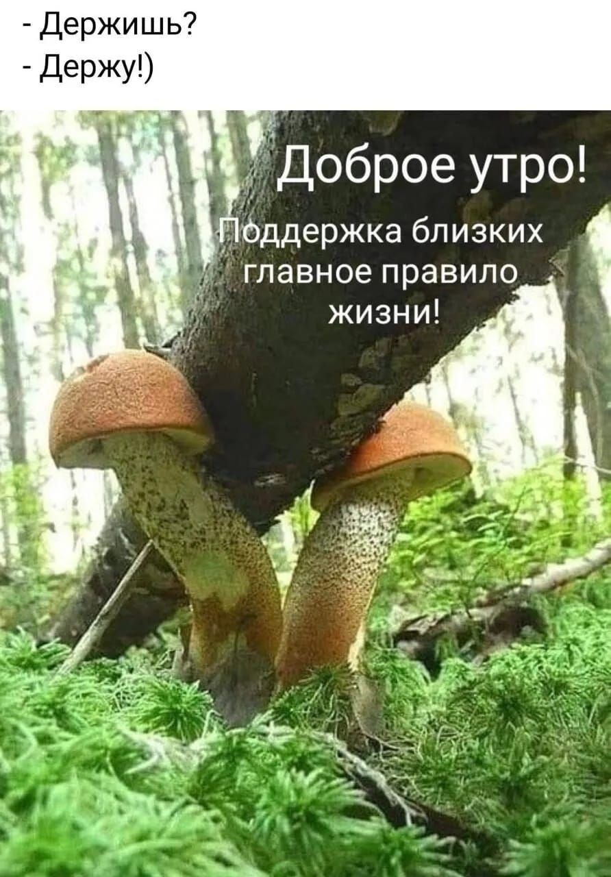 Держишь