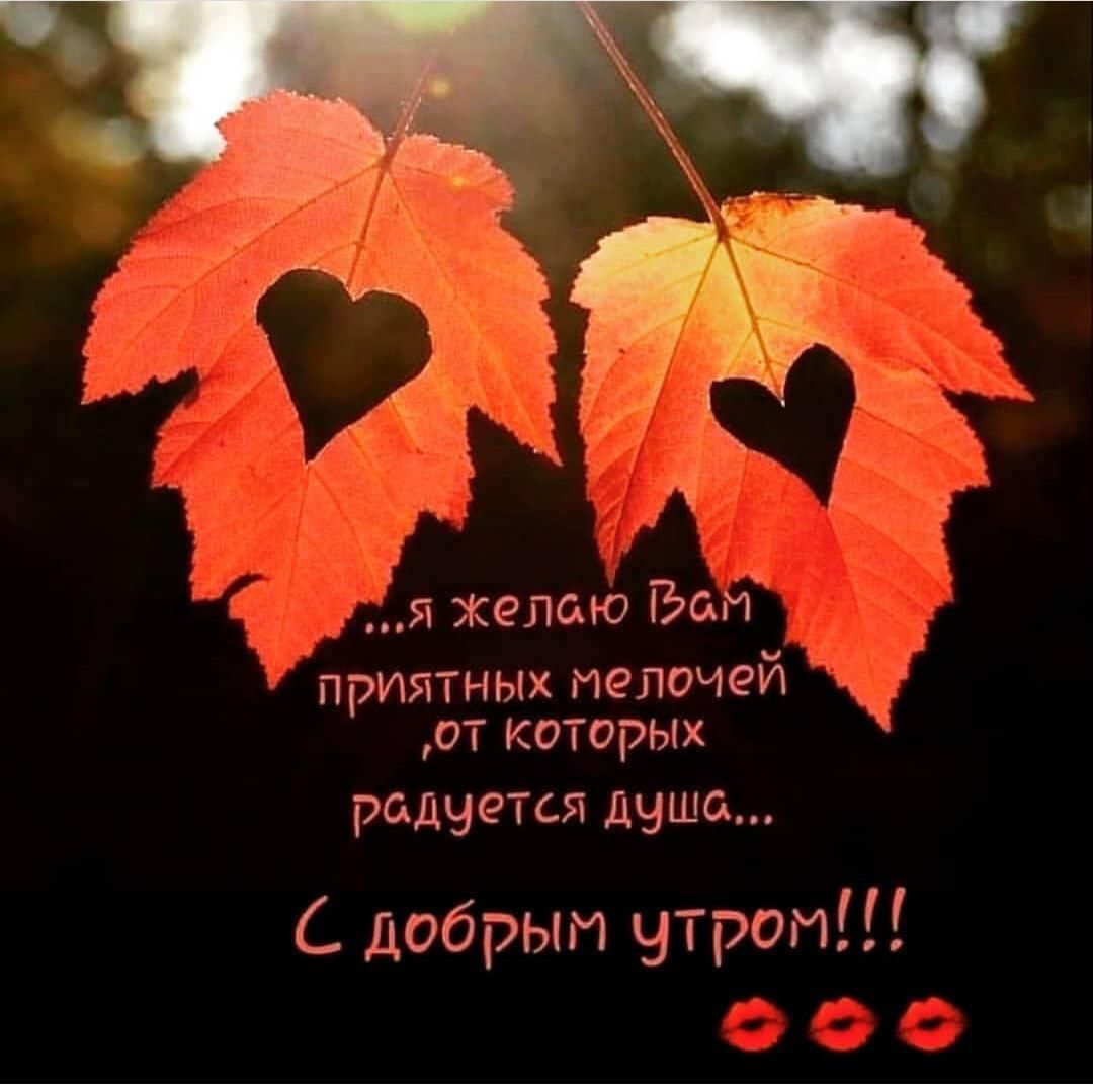 я желою о приятных мелочей от которых редчется душе С добрым утром
